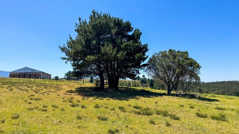 2 Bedroom Property for Sale in Friemersheim Western Cape